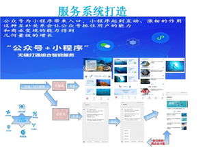 廣州市白云區(qū)小程序開(kāi)發(fā)公司