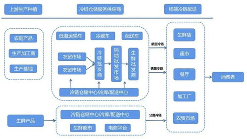 農(nóng)產(chǎn)品冷鏈物流發(fā)展淺析,價值鏈再造